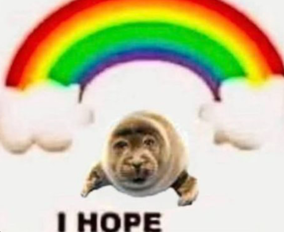 Seal with a rainbow over its heads that says I hope